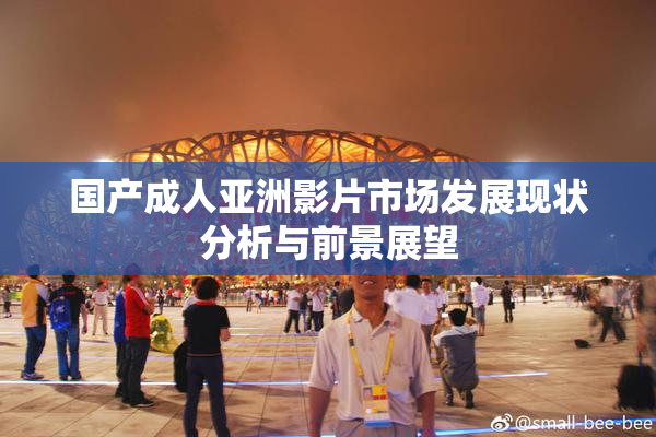 国产成人亚洲影片市场发展现状分析与前景展望