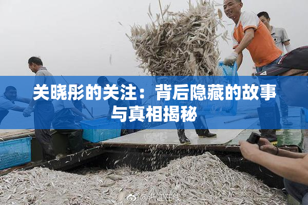 关晓彤的关注：背后隐藏的故事与真相揭秘