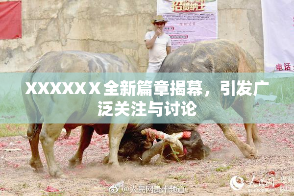XXXXXⅩ全新篇章揭幕，引发广泛关注与讨论