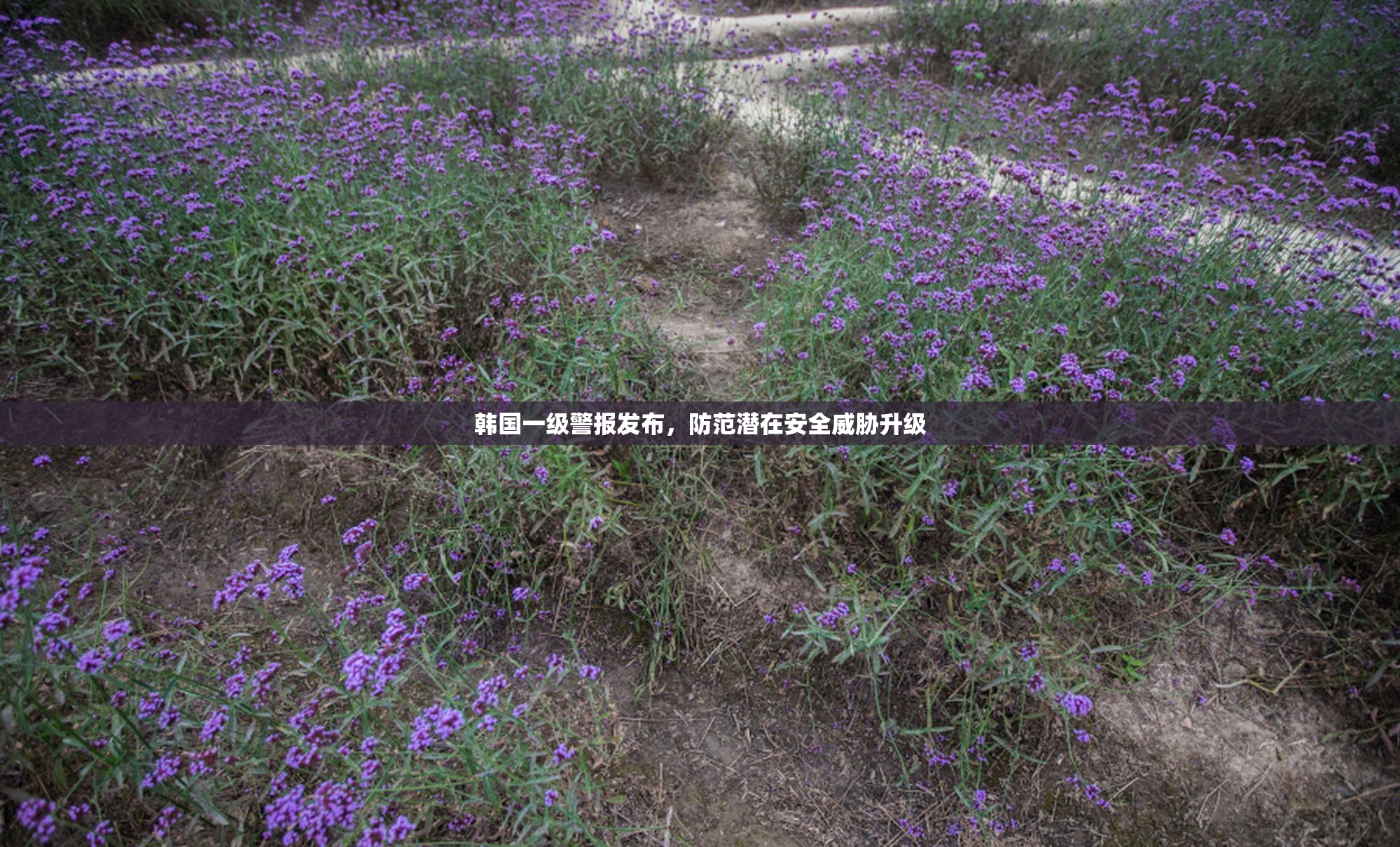 韩国一级警报发布，防范潜在安全威胁升级