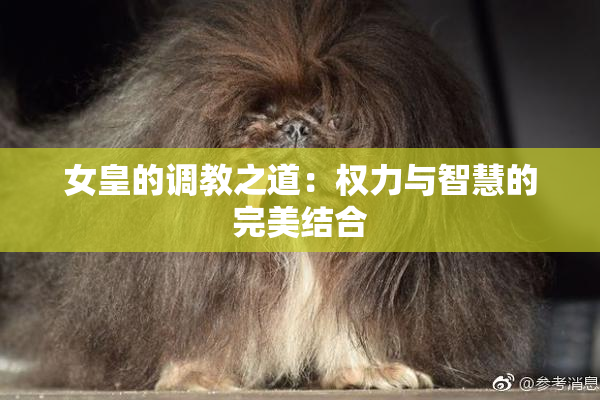 女皇的调教之道：权力与智慧的完美结合