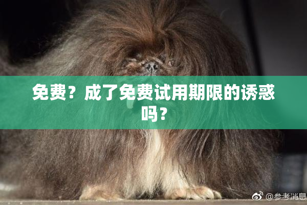 免费？成了免费试用期限的诱惑吗？