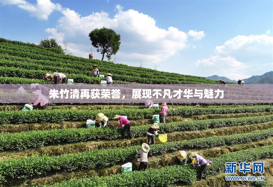朱竹清再获荣誉，展现不凡才华与魅力