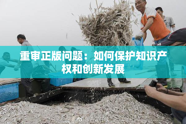 重审正版问题：如何保护知识产权和创新发展