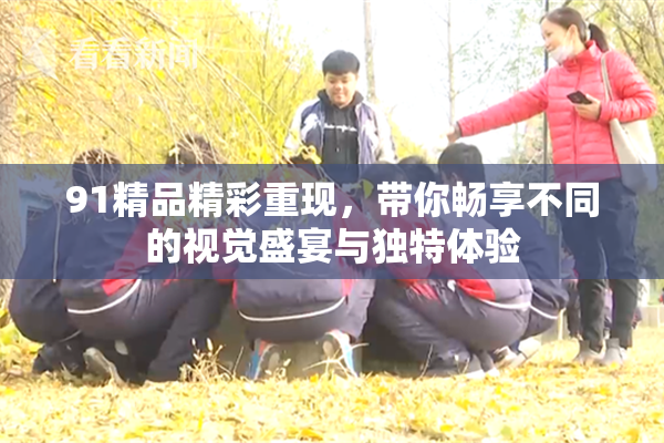 91精品精彩重现，带你畅享不同的视觉盛宴与独特体验