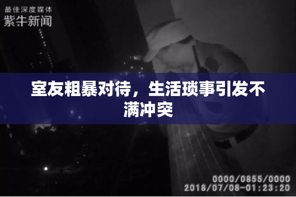 室友粗暴对待，生活琐事引发不满冲突