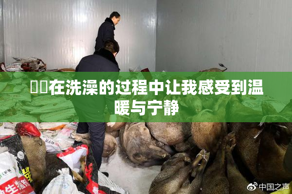 妺妺在洗澡的过程中让我感受到温暖与宁静
