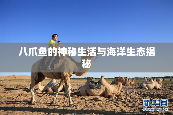 八爪鱼的神秘生活与海洋生态揭秘