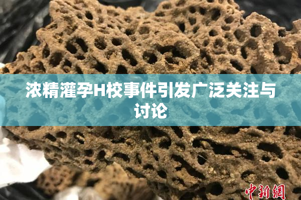 浓精灌孕H校事件引发广泛关注与讨论