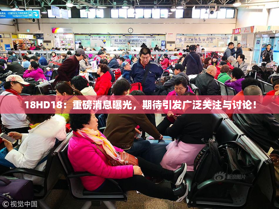18HD18：重磅消息曝光，期待引发广泛关注与讨论！