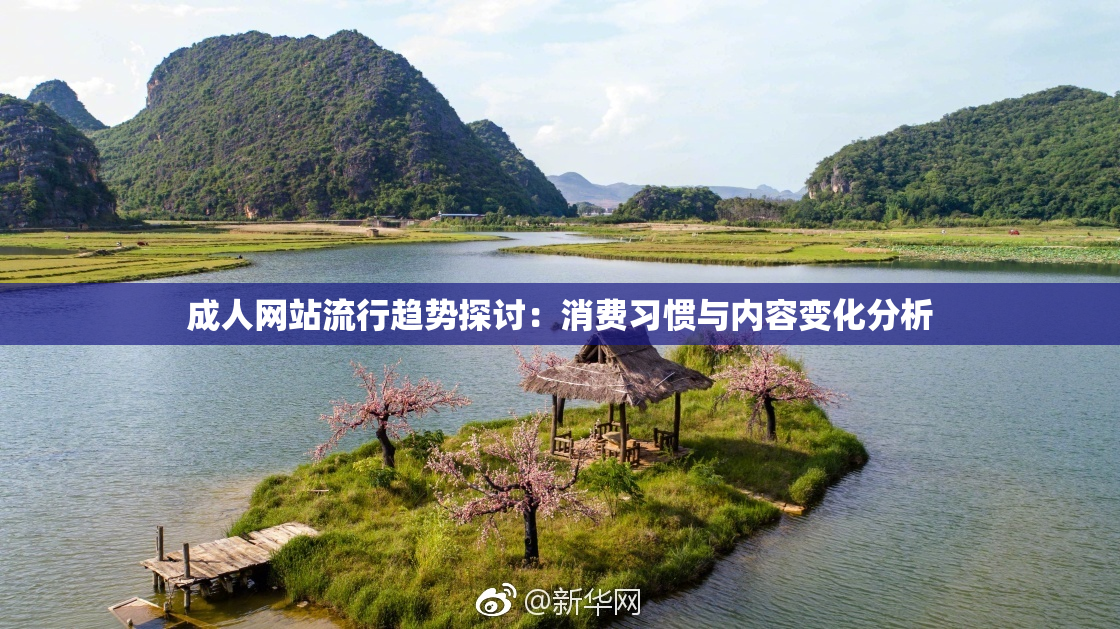 成人网站流行趋势探讨：消费习惯与内容变化分析