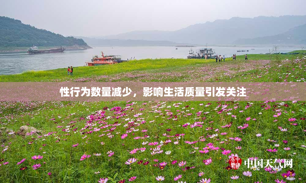 性行为数量减少，影响生活质量引发关注