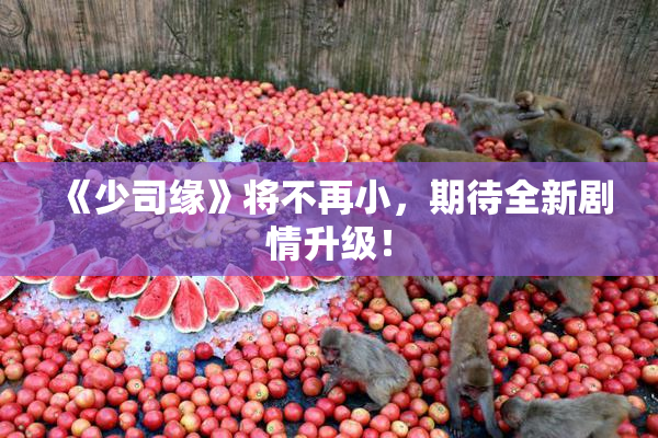 《少司缘》将不再小，期待全新剧情升级！