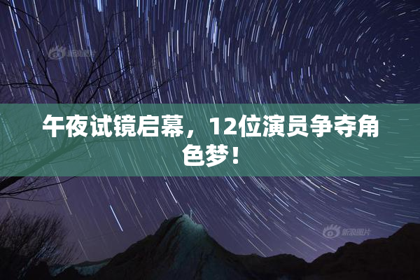 午夜试镜启幕，12位演员争夺角色梦！
