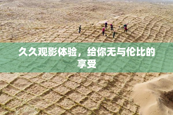 久久观影体验，给你无与伦比的享受