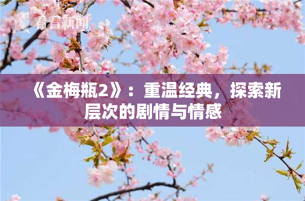 《金梅瓶2》：重温经典，探索新层次的剧情与情感
