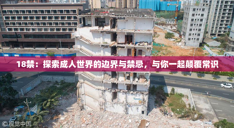 18禁：探索成人世界的边界与禁忌，与你一起颠覆常识