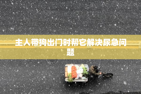 主人带狗出门时帮它解决尿急问题