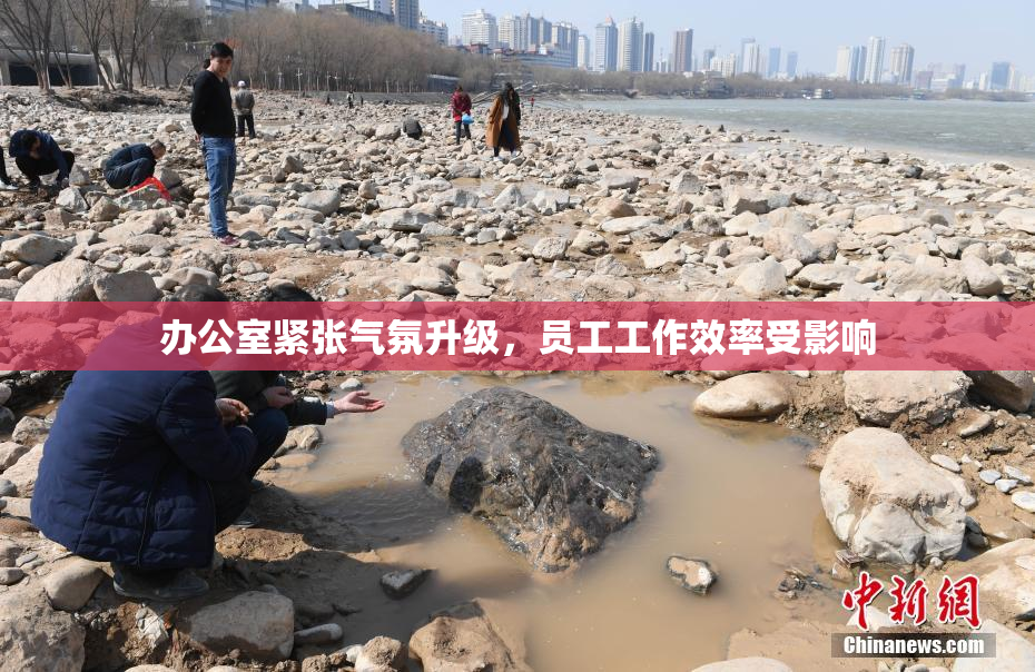 办公室紧张气氛升级，员工工作效率受影响