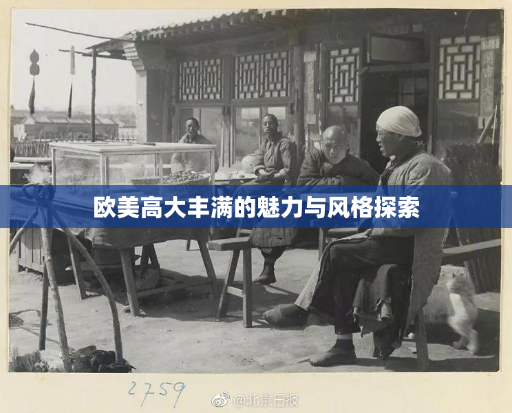 欧美高大丰满的魅力与风格探索