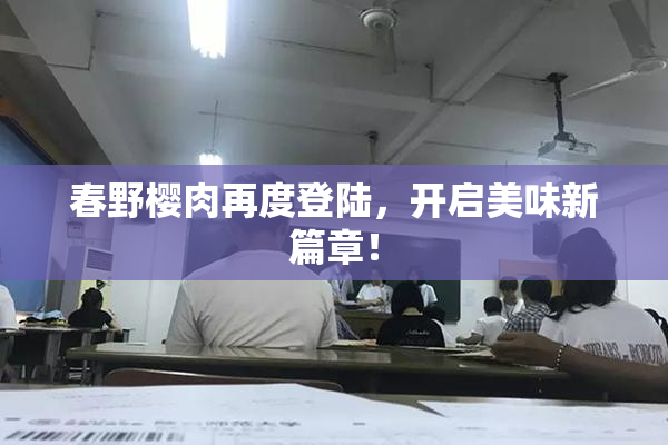春野樱肉再度登陆，开启美味新篇章！