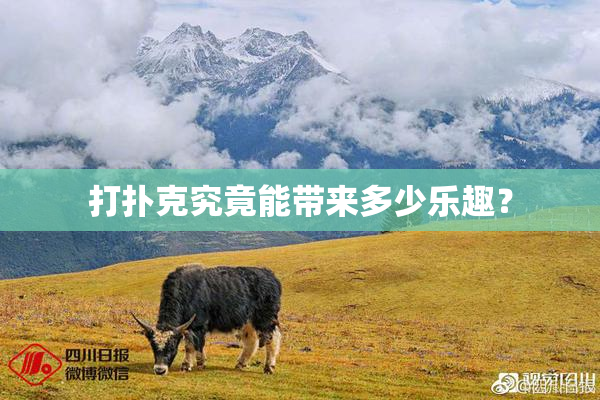 打扑克究竟能带来多少乐趣？