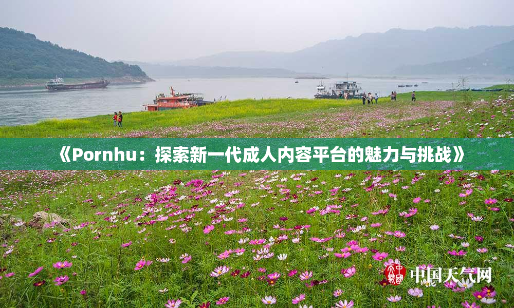 《Pornhu：探索新一代成人内容平台的魅力与挑战》