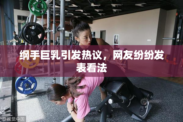 纲手巨乳引发热议，网友纷纷发表看法