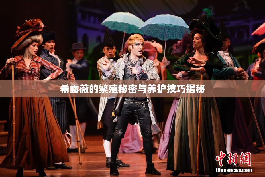 希露薇的繁殖秘密与养护技巧揭秘
