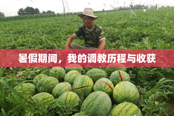 暑假期间，我的调教历程与收获