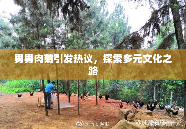 男男肉菊引发热议，探索多元文化之路