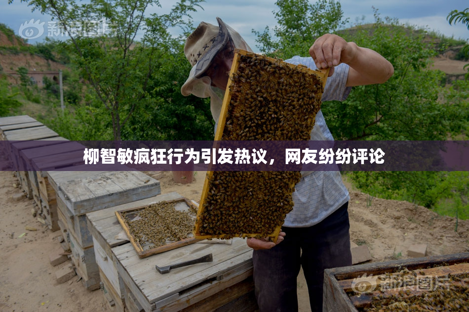 柳智敏疯狂行为引发热议，网友纷纷评论