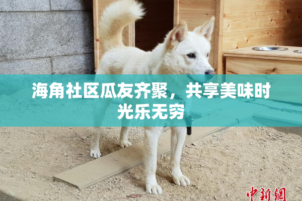 海角社区瓜友齐聚，共享美味时光乐无穷