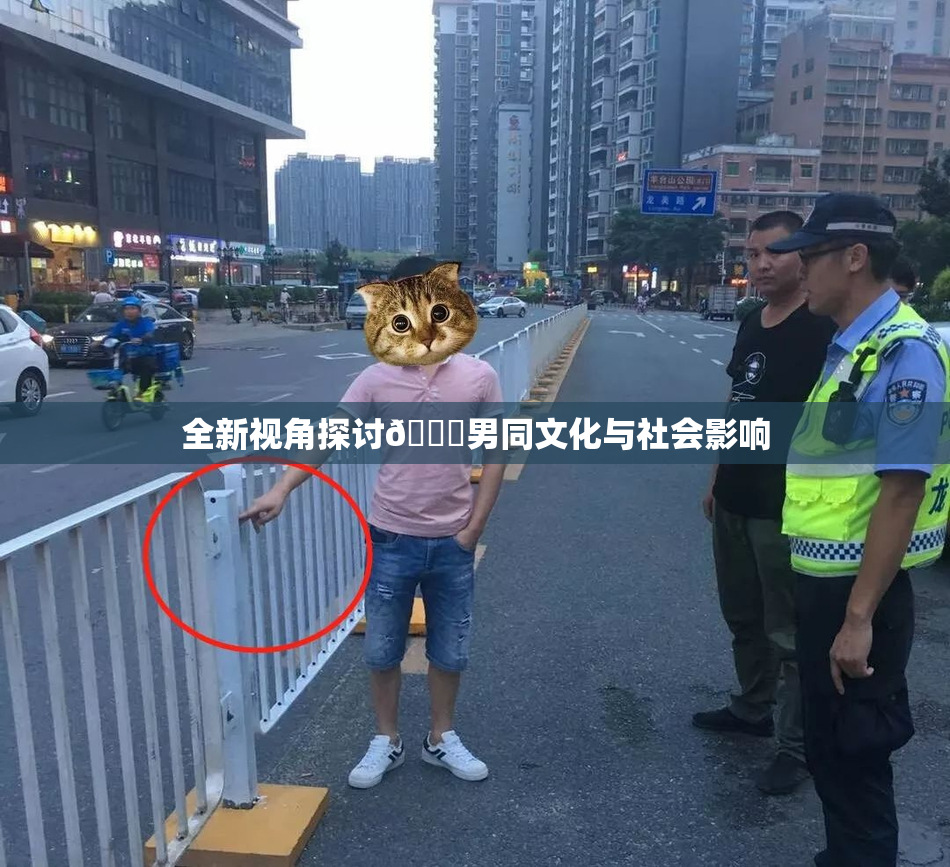 全新视角探讨🔞男同文化与社会影响