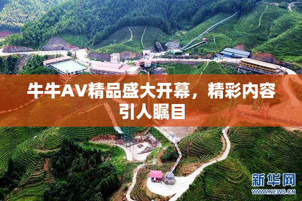 牛牛AV精品盛大开幕，精彩内容引人瞩目