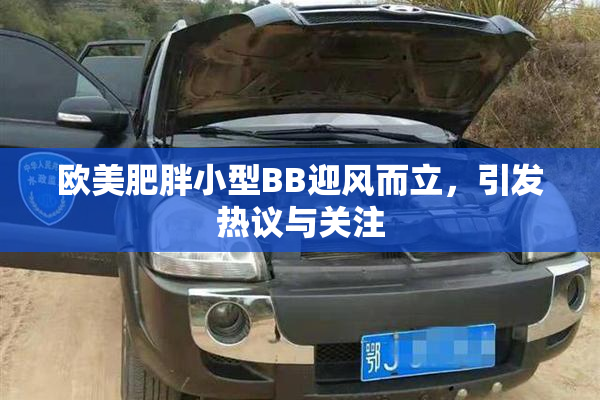 欧美肥胖小型BB迎风而立，引发热议与关注