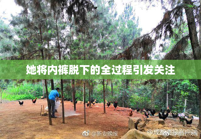 她将内裤脱下的全过程引发关注