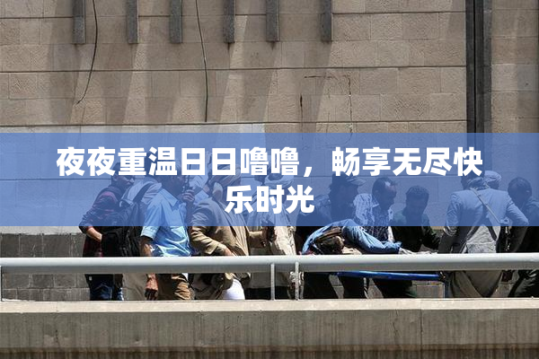 夜夜重温日日噜噜，畅享无尽快乐时光