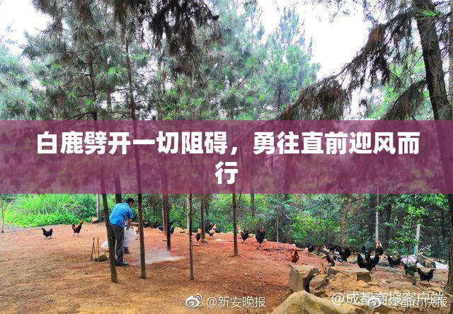 白鹿劈开一切阻碍，勇往直前迎风而行