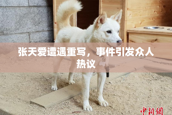 张天爱遭遇重写，事件引发众人热议