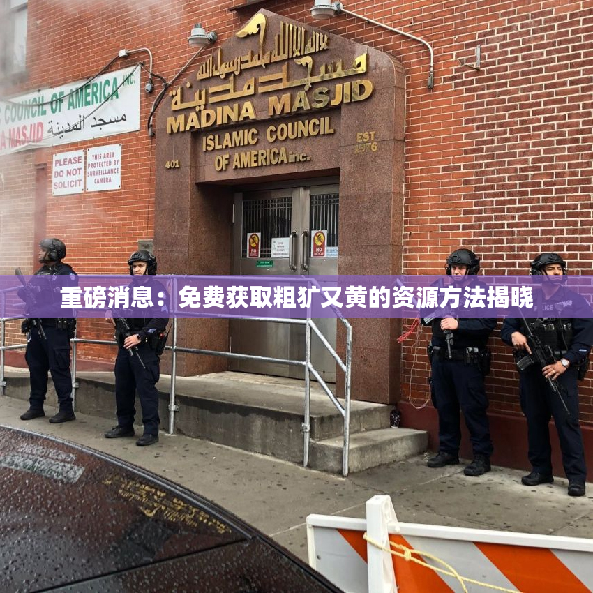 重磅消息：免费获取粗犷又黄的资源方法揭晓