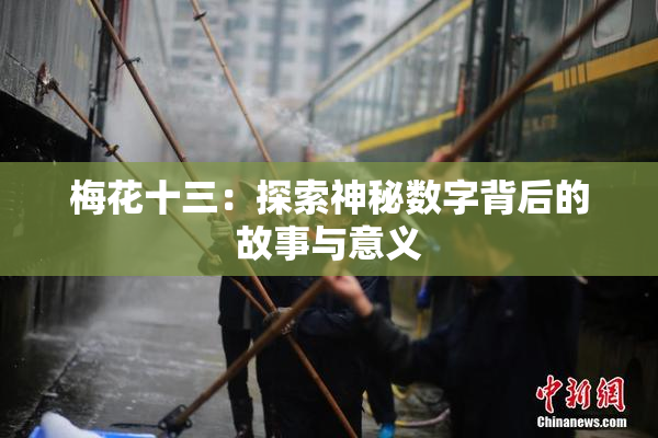 梅花十三：探索神秘数字背后的故事与意义