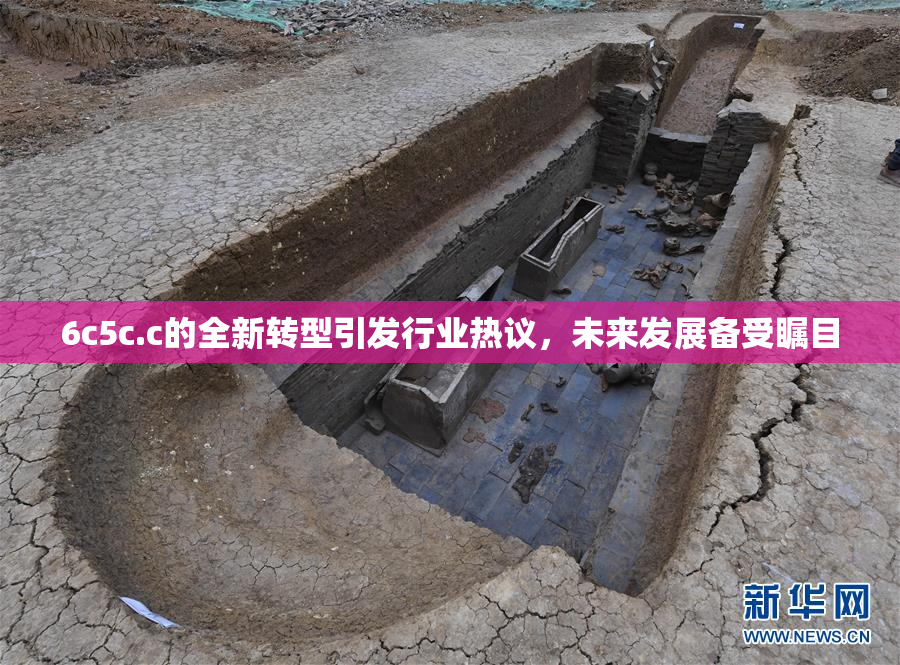 6c5c.c的全新转型引发行业热议，未来发展备受瞩目