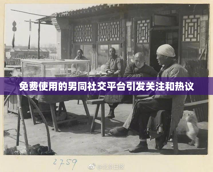 免费使用的男同社交平台引发关注和热议