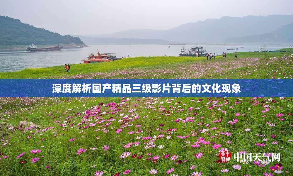 深度解析国产精品三级影片背后的文化现象