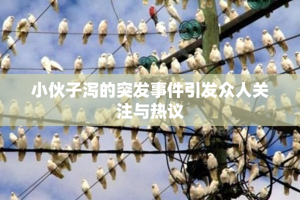 小伙子泻的突发事件引发众人关注与热议