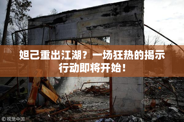 妲己重出江湖？一场狂热的揭示行动即将开始！