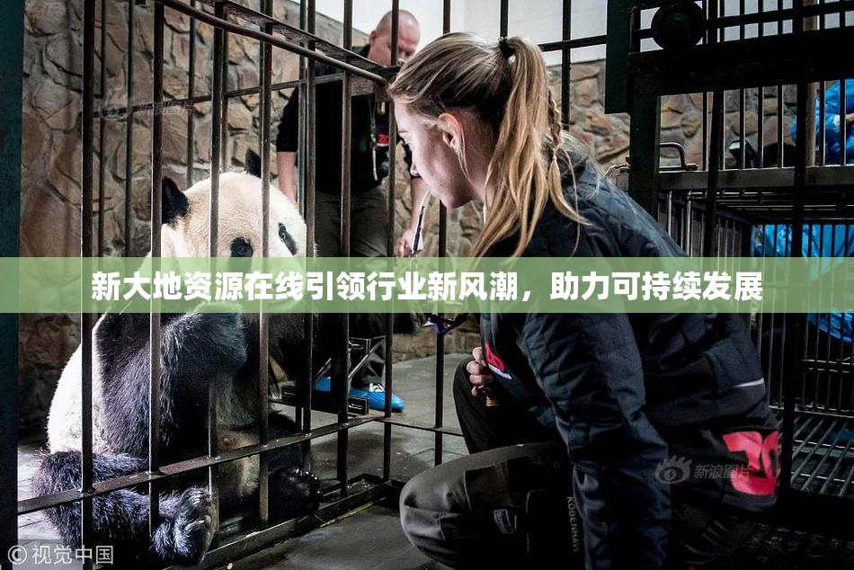 新大地资源在线引领行业新风潮，助力可持续发展