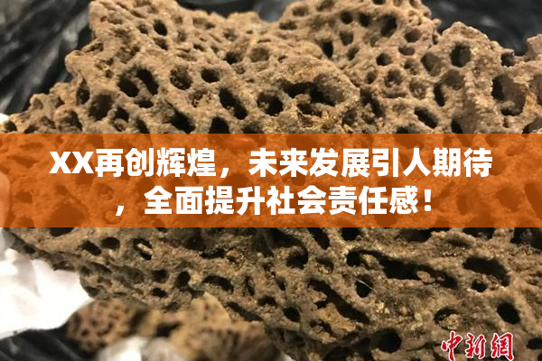 XX再创辉煌，未来发展引人期待，全面提升社会责任感！