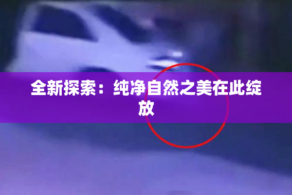 全新探索：纯净自然之美在此绽放